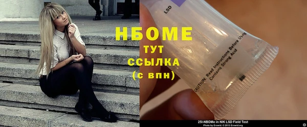 гашик Новозыбков