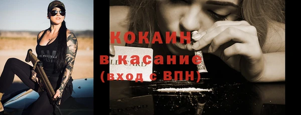 гашик Новозыбков