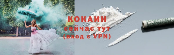 гашик Новозыбков