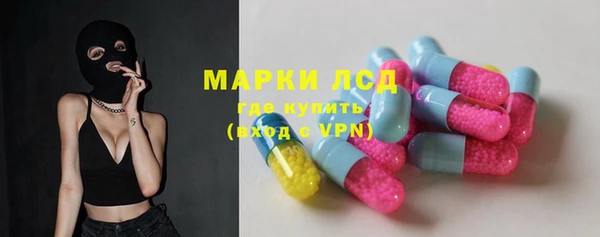стафф Новокубанск