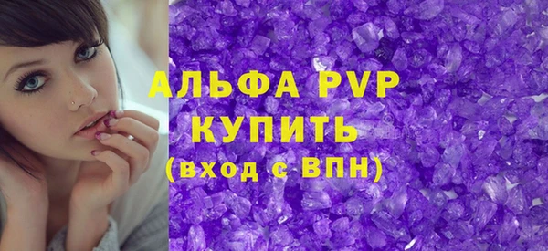 стафф Новокубанск