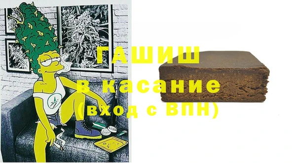 гашик Новозыбков