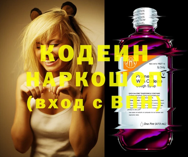 гашик Новозыбков