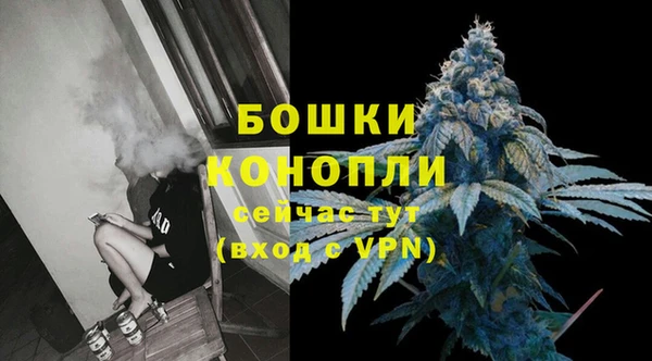 стафф Новокубанск