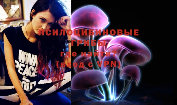 гашик Новозыбков